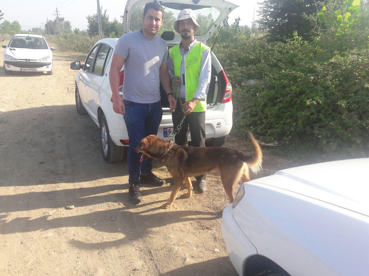 گزارش فعالیتهای مهر ماه 1396 کارگروه حمایت از حیوانات 
