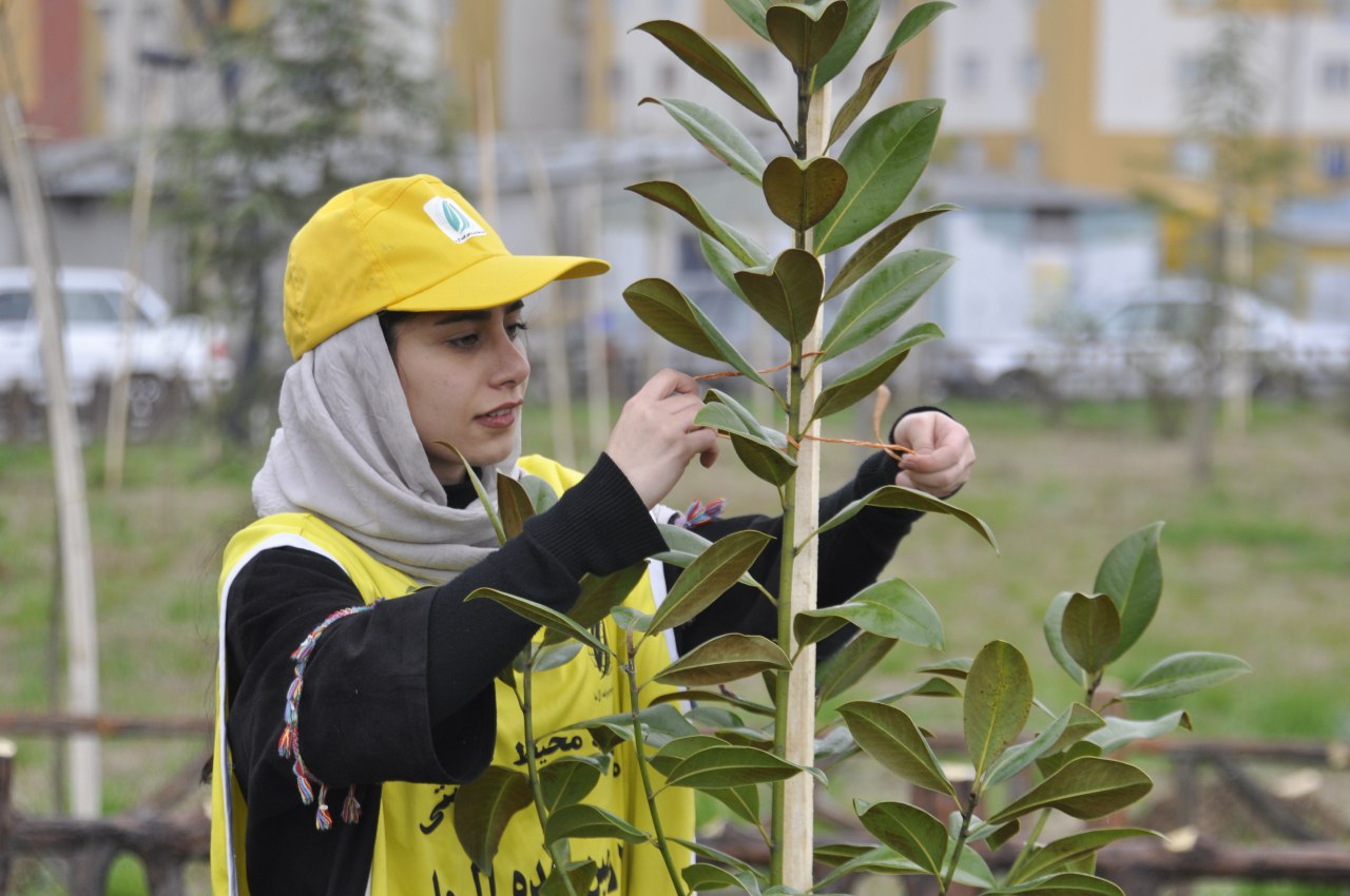 اجرای طرح درختکاری با عنوان هدیه ماندگار-یادگار سبز