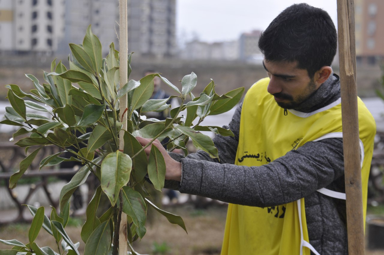 اجرای طرح درختکاری با عنوان هدیه ماندگار-یادگار سبز