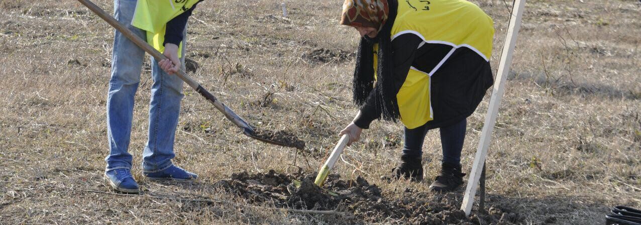 اجرای طرح جهاد درختکاری برای اولین بار در کشور با عنوان هر شهروند،کاشت یک نهال