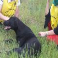 Activity Report of October 2017 The Animal Protection Working Group "Our Ideal Land Institution"