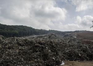  Will anyone take the lead in removing the rubbish crisis?