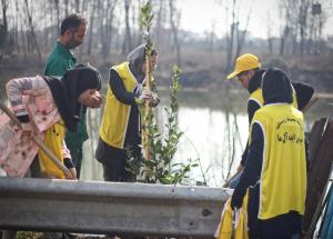  Tree and clearing the fringes of Urban Wetlands